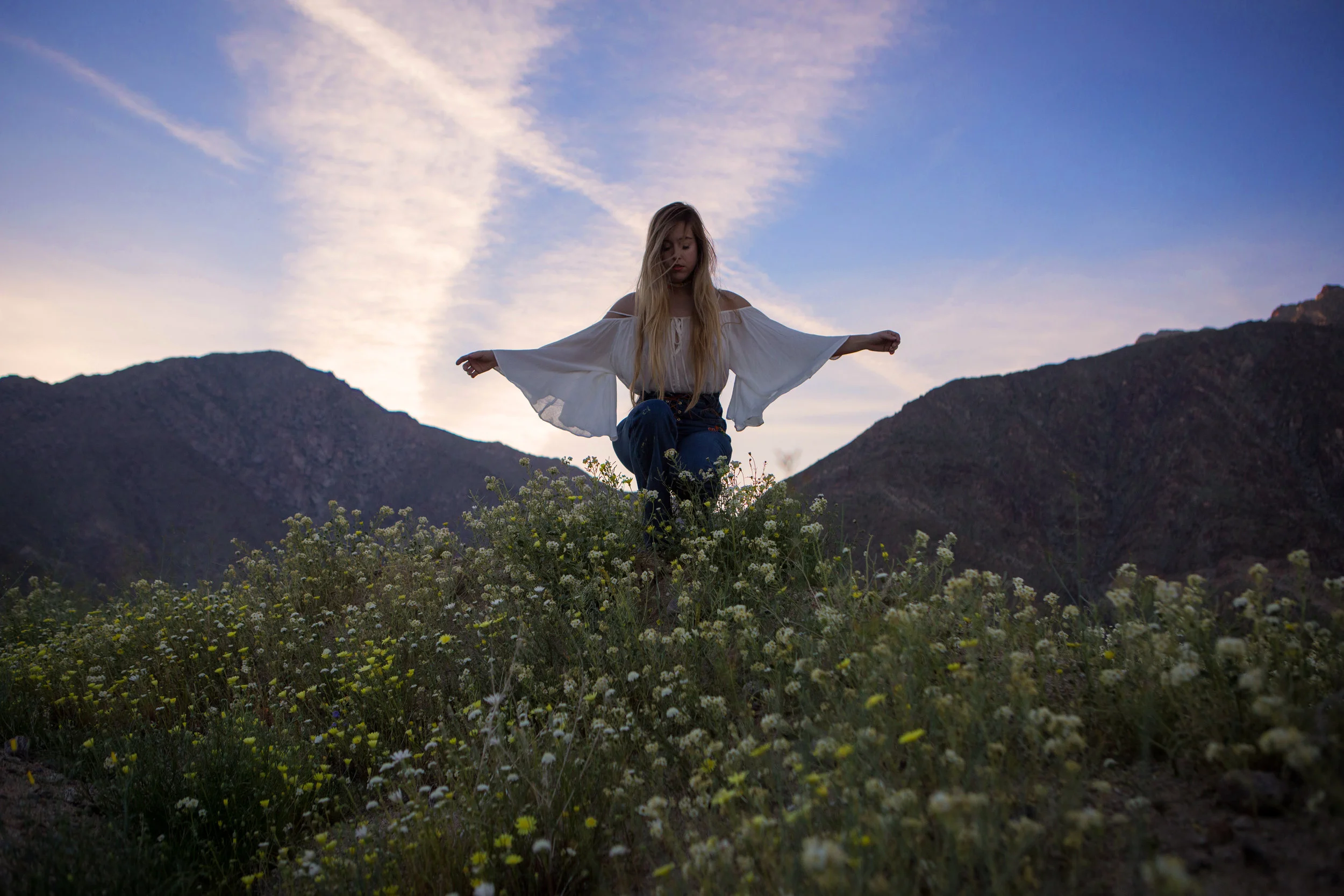 AstroBandit_AnzaBorrego_Superbloom_7.jpg