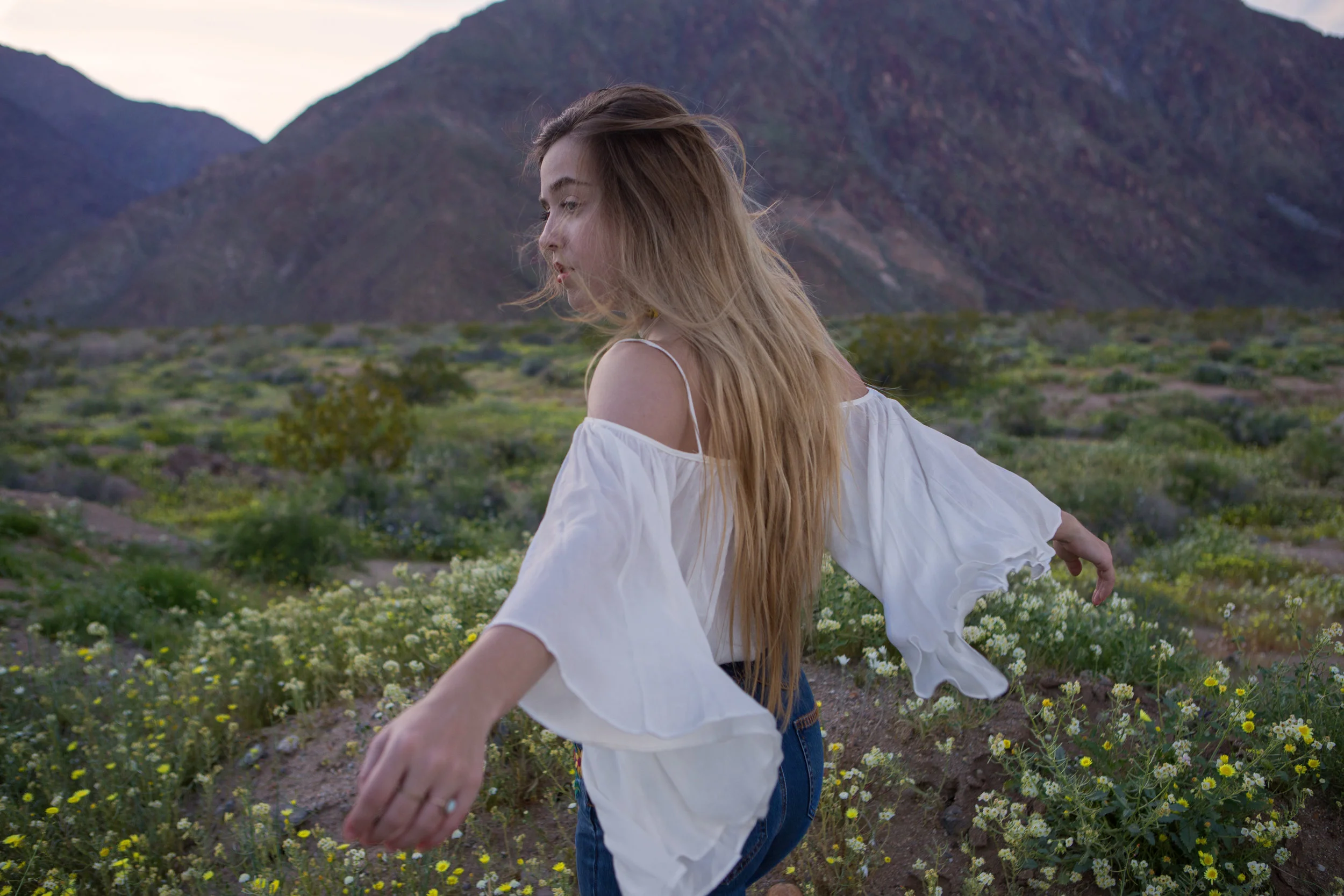 AstroBandit_AnzaBorrego_Superbloom_9.jpg