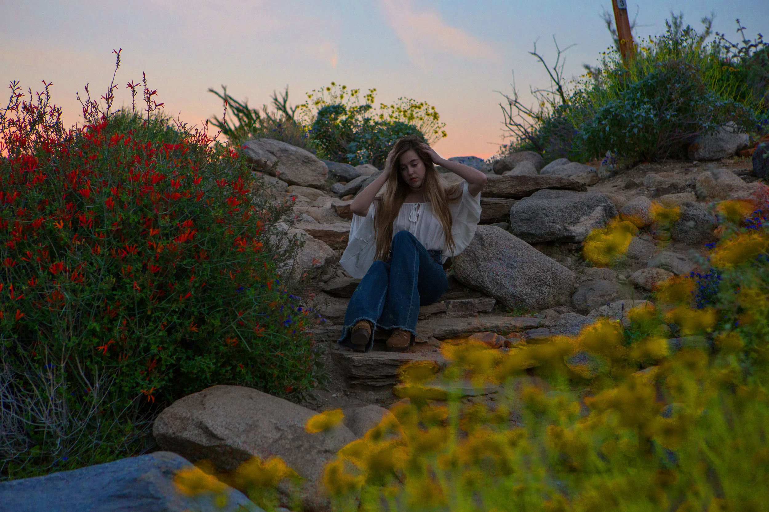 AstroBandit_AnzaBorrego_Superbloom_Sunset_13.jpg