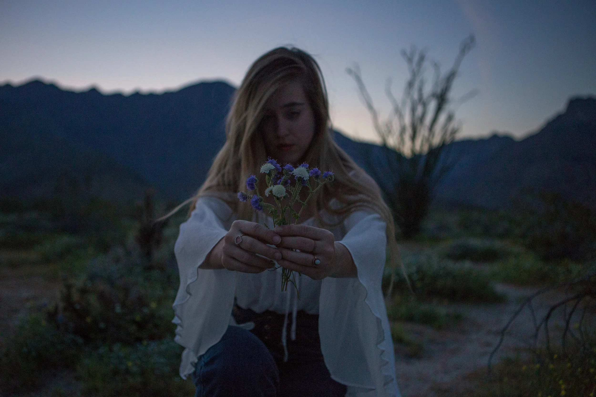 AstroBandit_AnzaBorrego_Superbloom_16.jpg