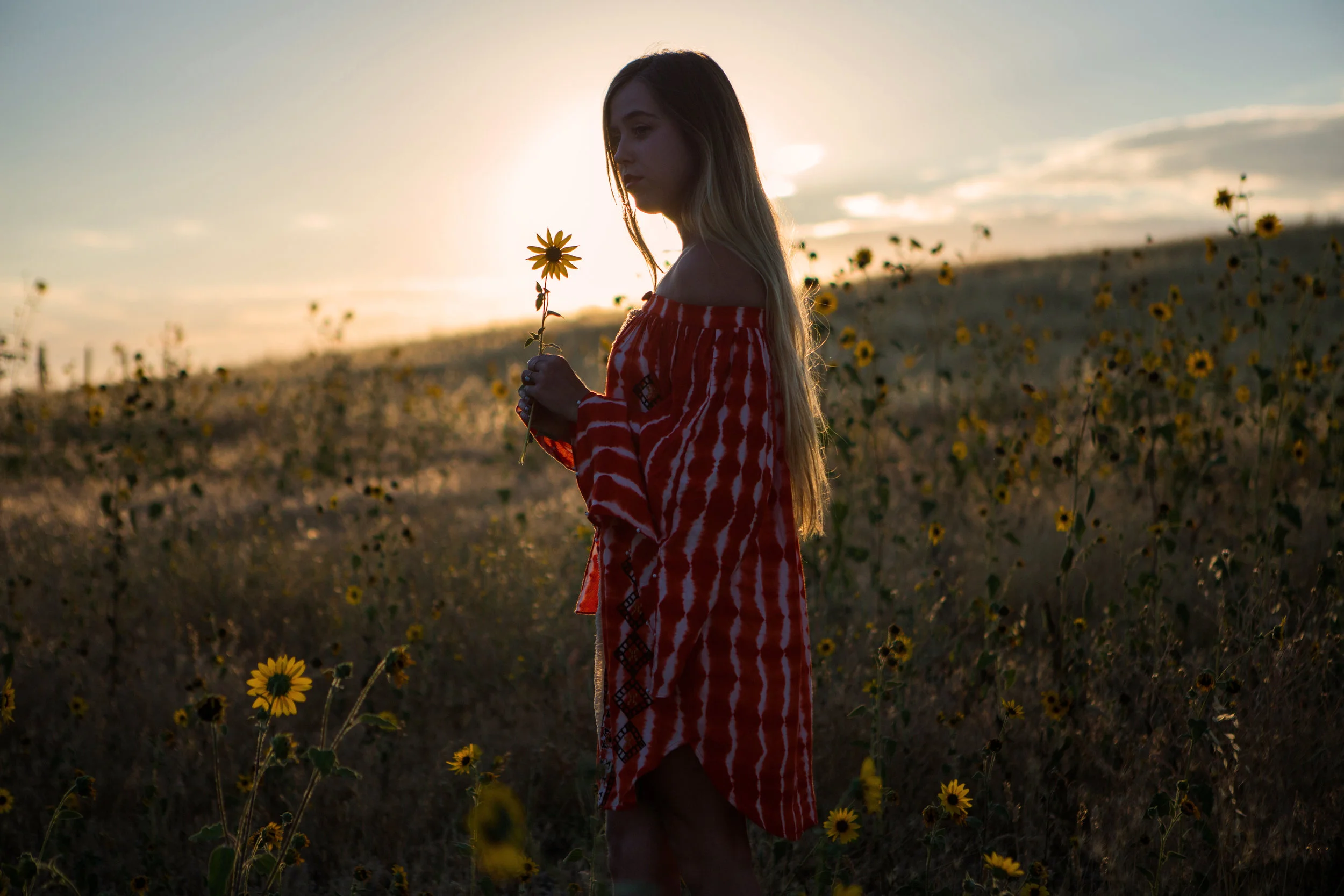 astrobandit_hemantandnandita_sunflowers_8.jpg