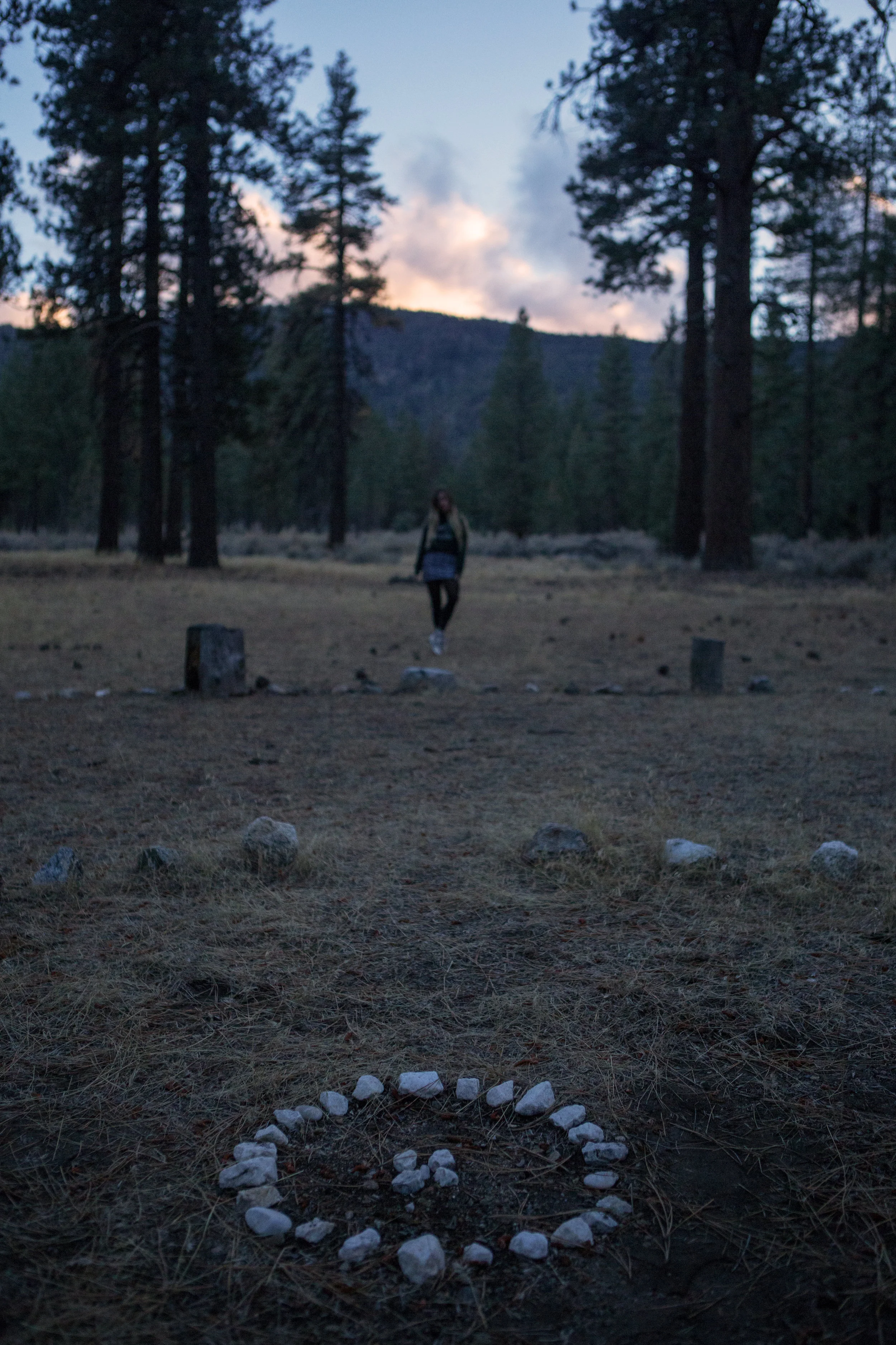 JordanRose_AstroBandit_SheIn_GiveMeSpace_Forest_Sunset_10.jpg