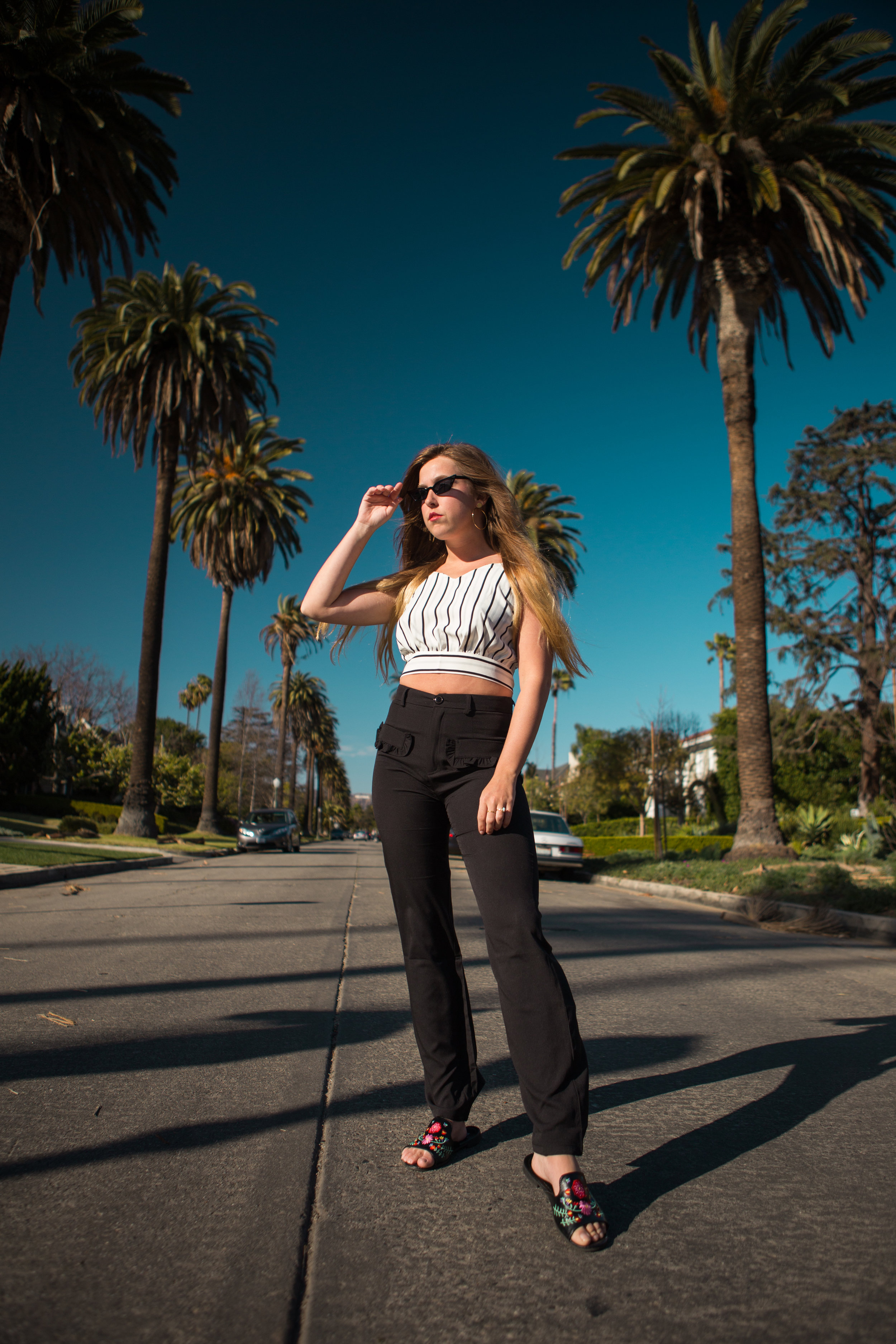 How To Find The Iconic Palm Tree Lined Street In Los Angeles With