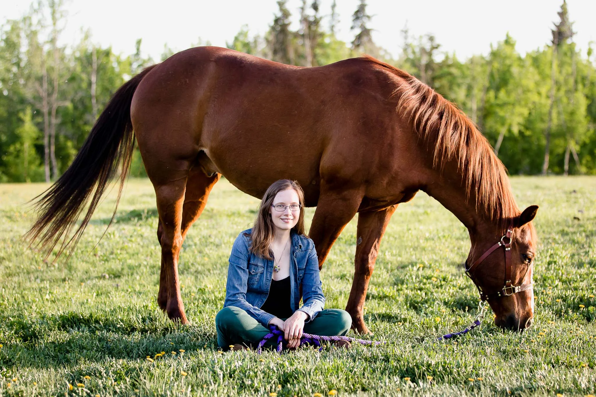 Photo by Rebecca Klassen, http://mistymountainimages.ca/