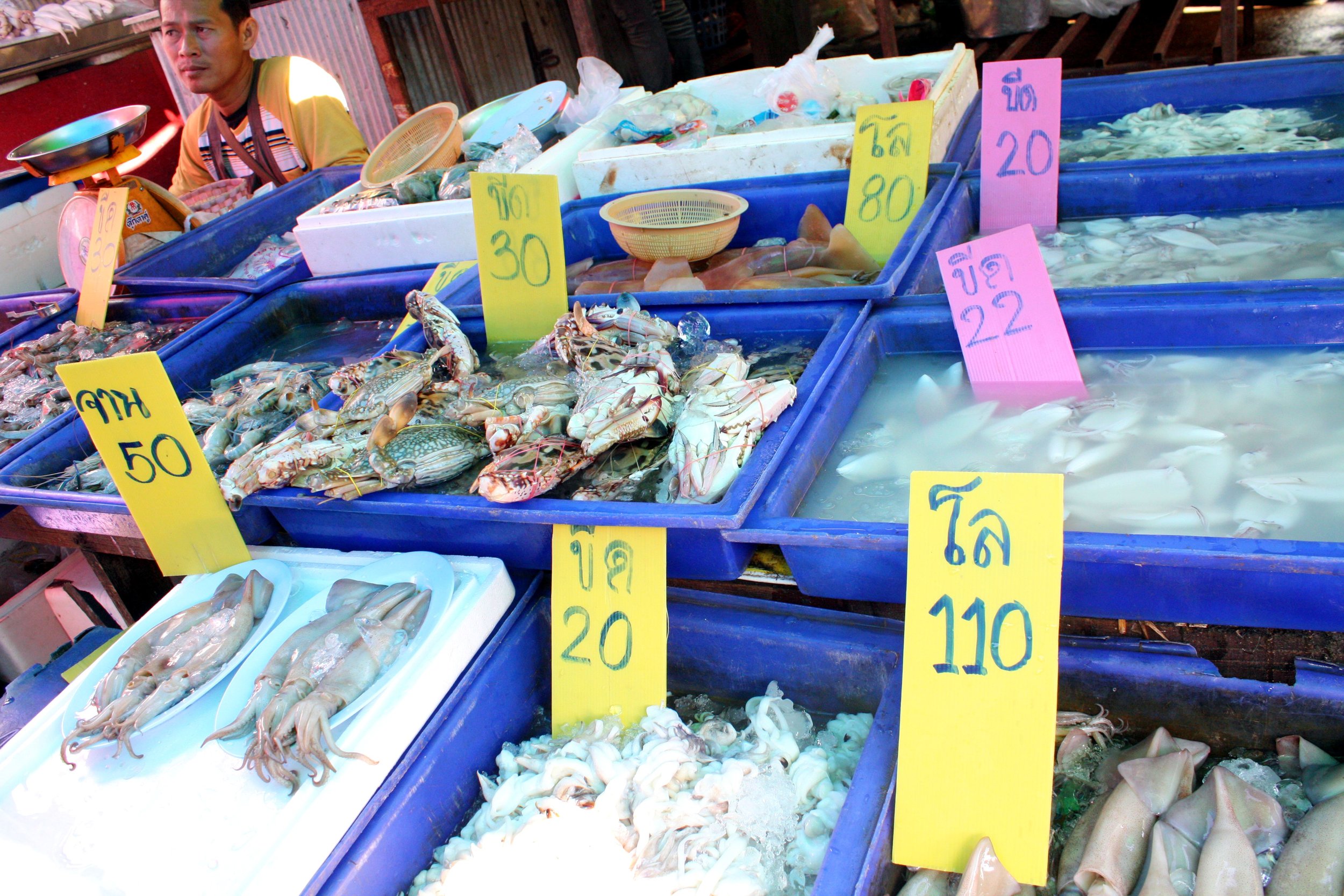  Some fresh and affordable seafood! 