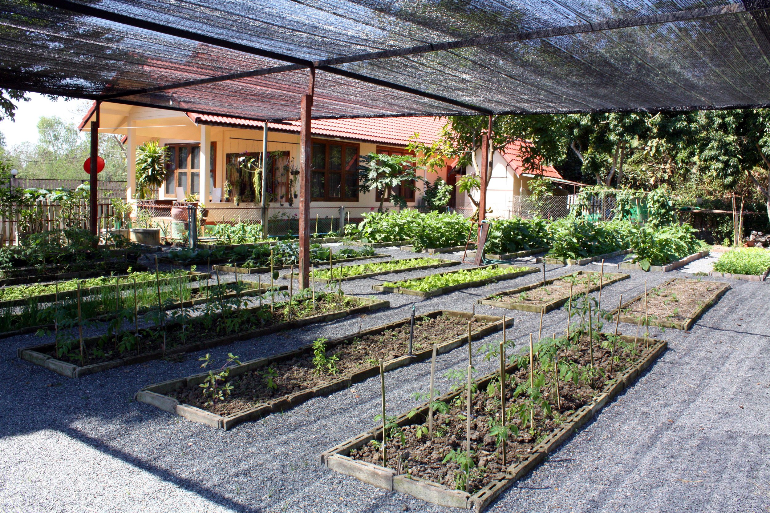  Her herb and vegetable garden. 