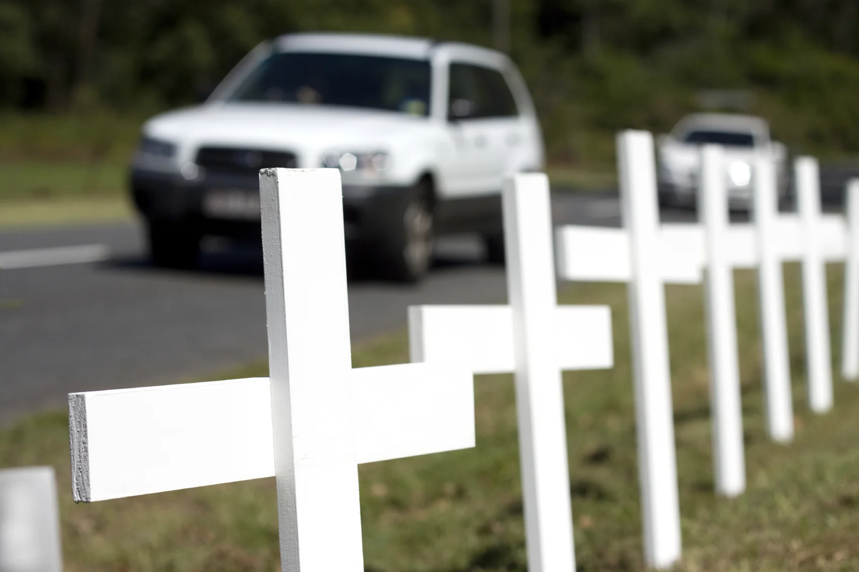 Record Number of Roadside Mortalities in 2015