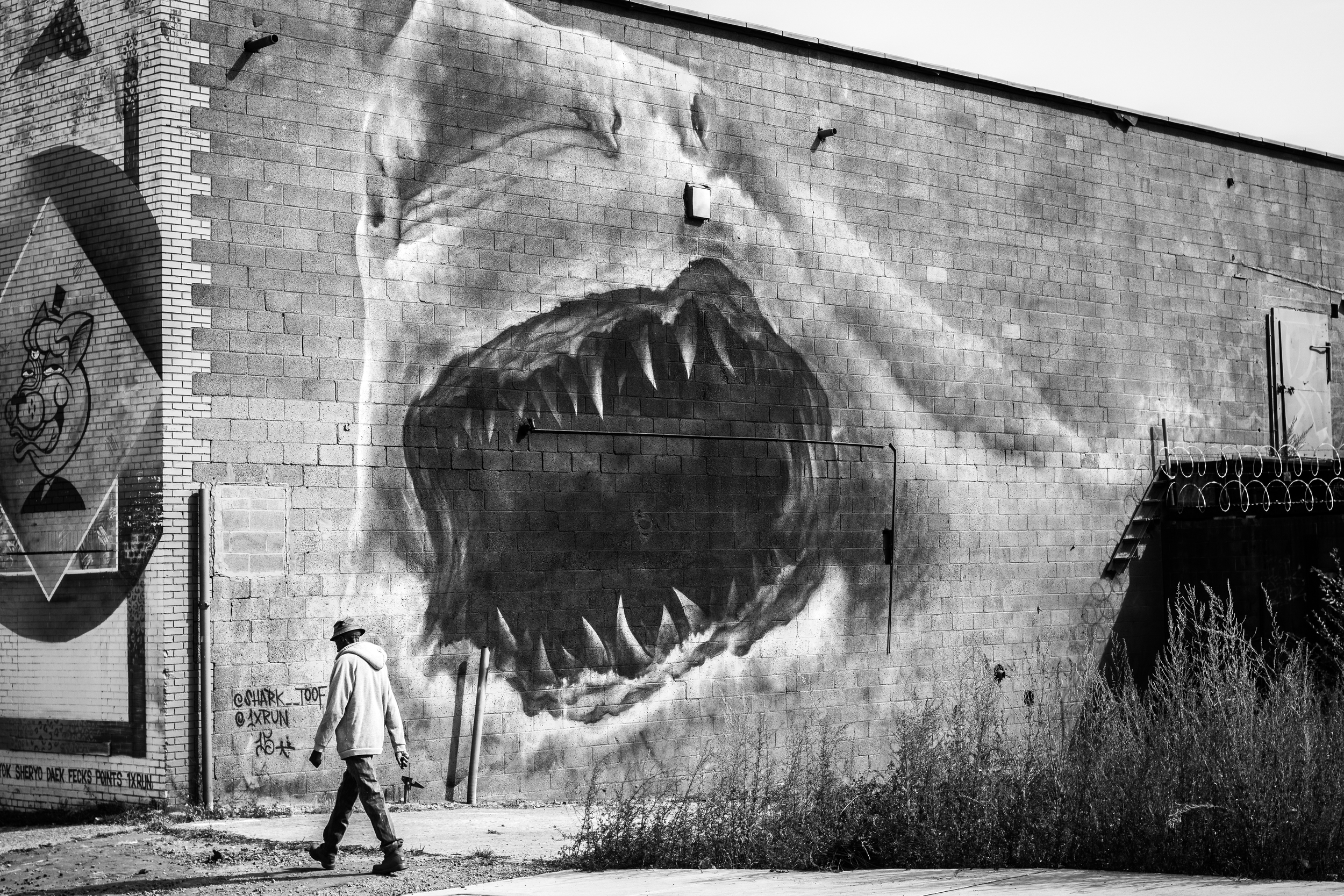 Predator