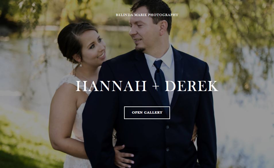 A preview of an online gallery cover page