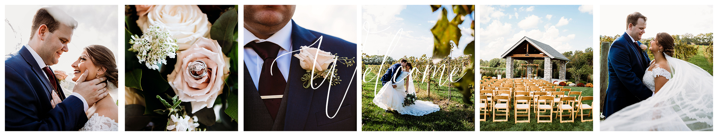 Website Header.jpg