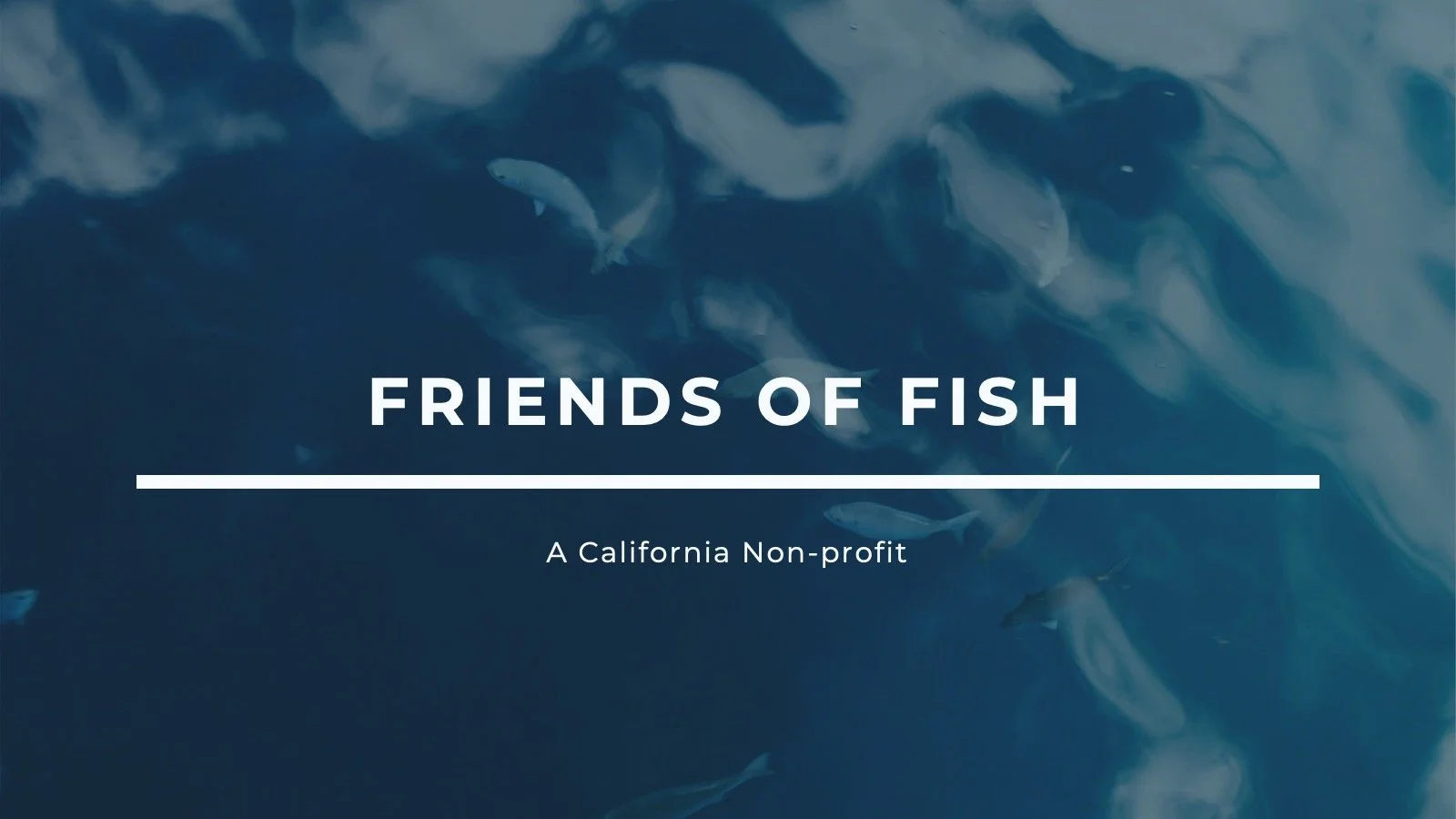 Group 3 Friends of Fish_Presentation.pptx .jpg