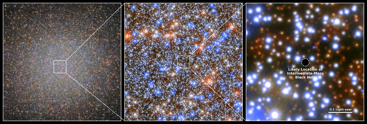 The Closest Black Hole to Earth Ever Discovered Revealed a Missing Link