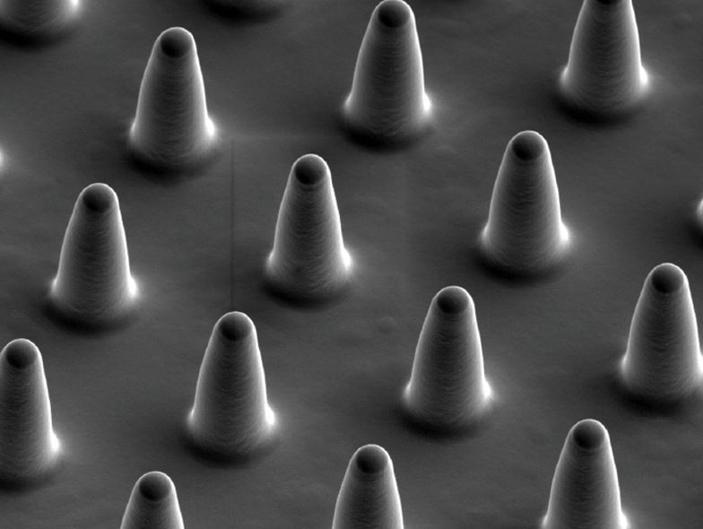 Electron micrograph of the "micro bed of nails". The columns are around 8 micrometres high with around 7 micrometres between them. (Photo: Sorce B et al. Nature Communications 2015)