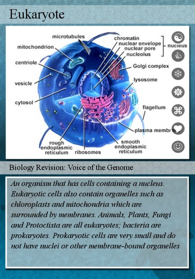 Eukaryote cells have a nucleus, unlike prokaryotes - Image Credit: Biology flashcards/Flickr