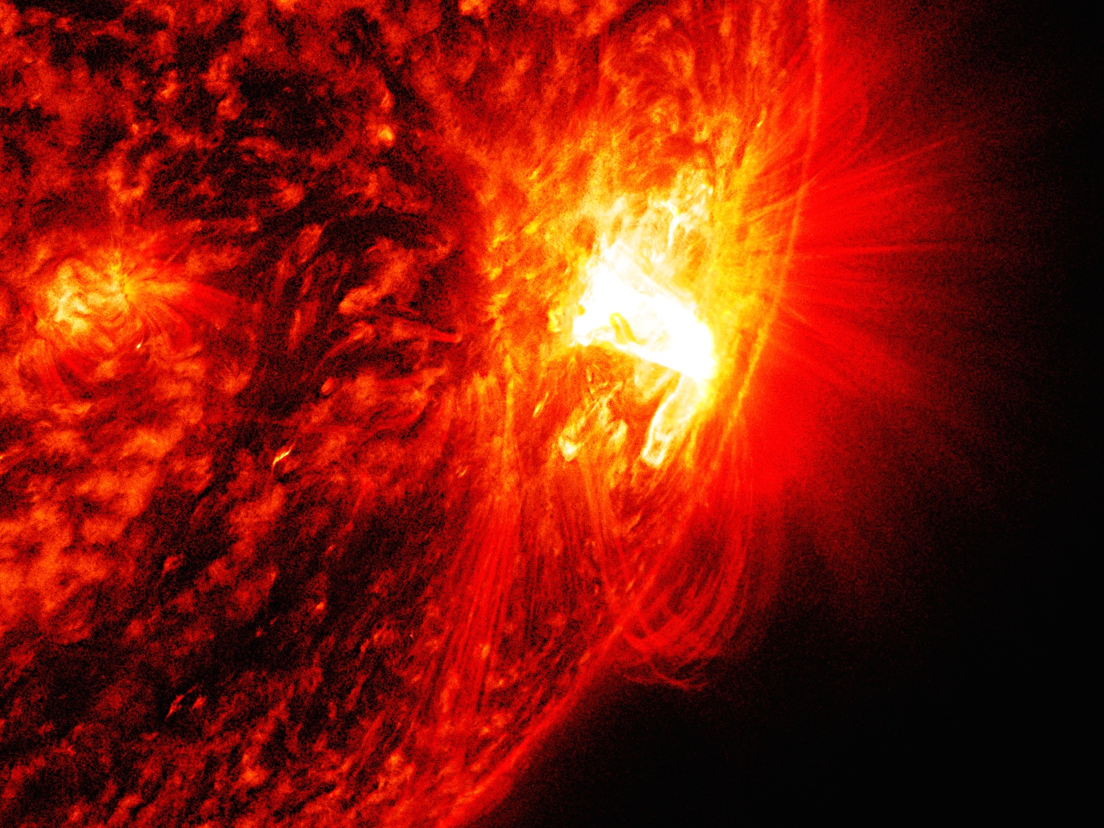 This solar flare occurred at the peak of the solar cycle in October 2014 with no observed eruptions. PPPL researchers say this is a promising candidate for studying the effect of guide magnetic fields - Image Credits: NASA