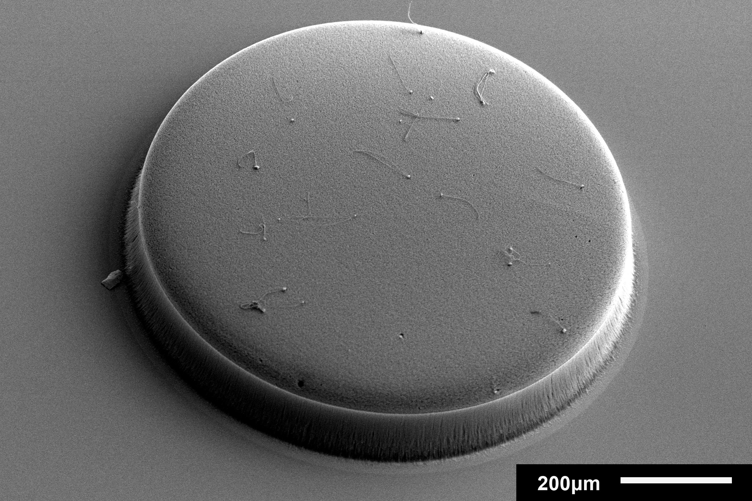 A patterned and cylindrical structure made up of carbon nanotubes – Image Credit: MIT