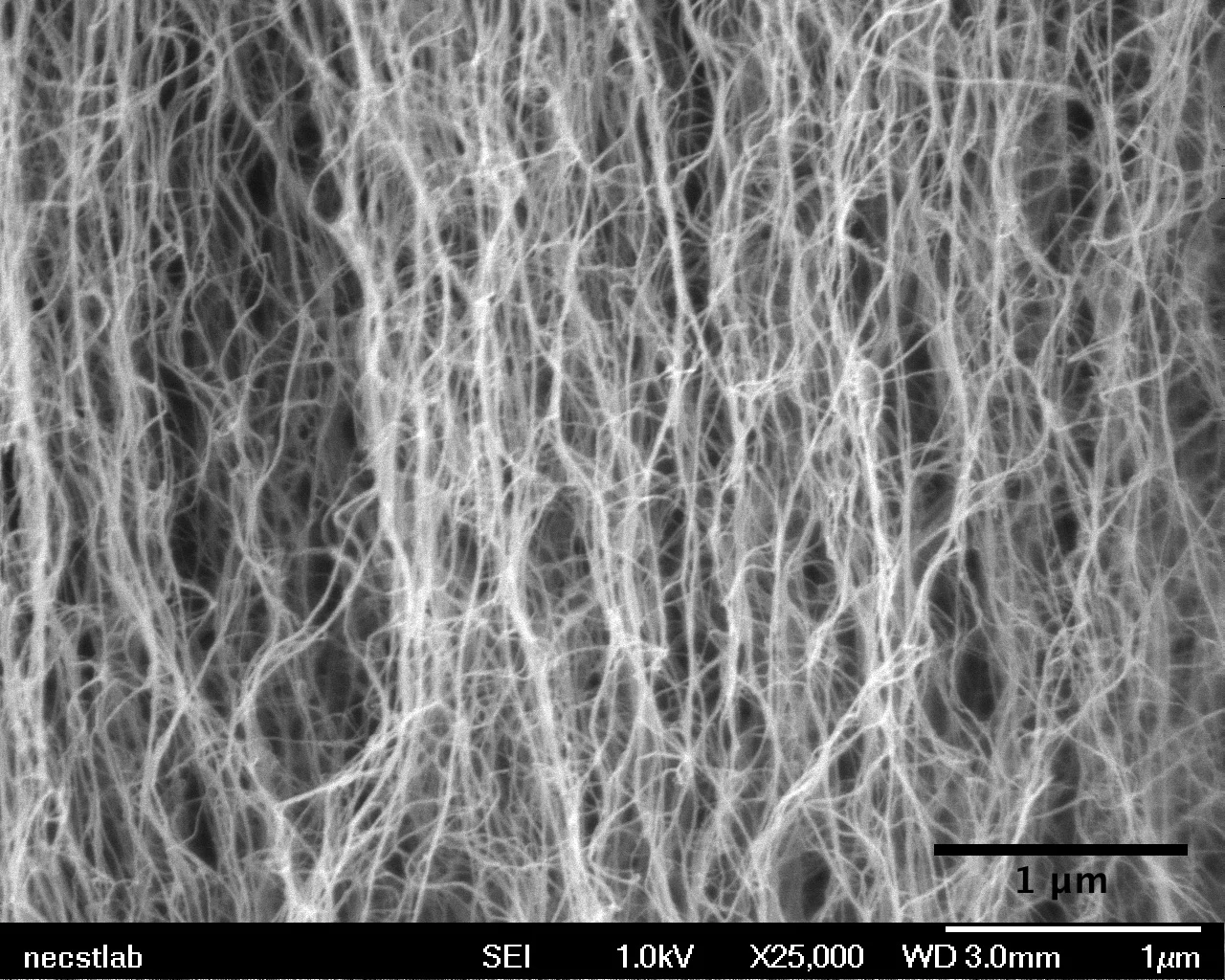 A zoomed in view of carbon nanotubes, showing individual tubes - Image Credits: MIT