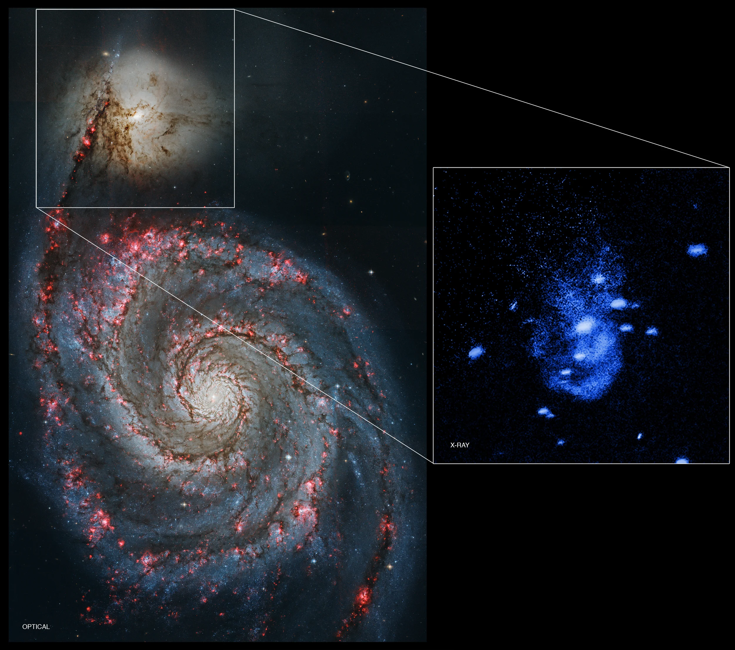 Galaxy NGC 5195 - Image Credit: NASA