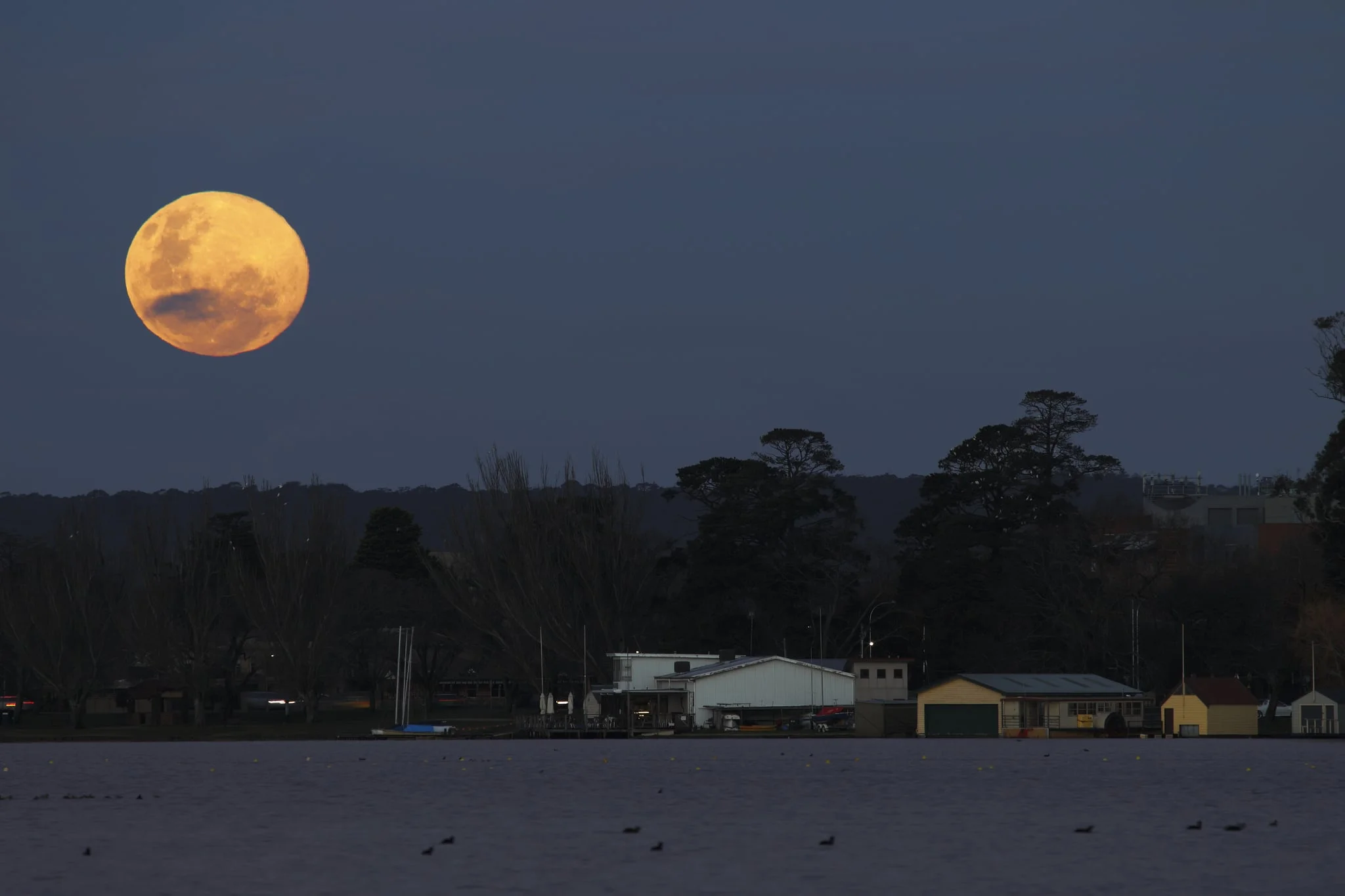 Don't expect the blue moon to be coloured blu - Image Credit: Ed Dunens/Flickr
