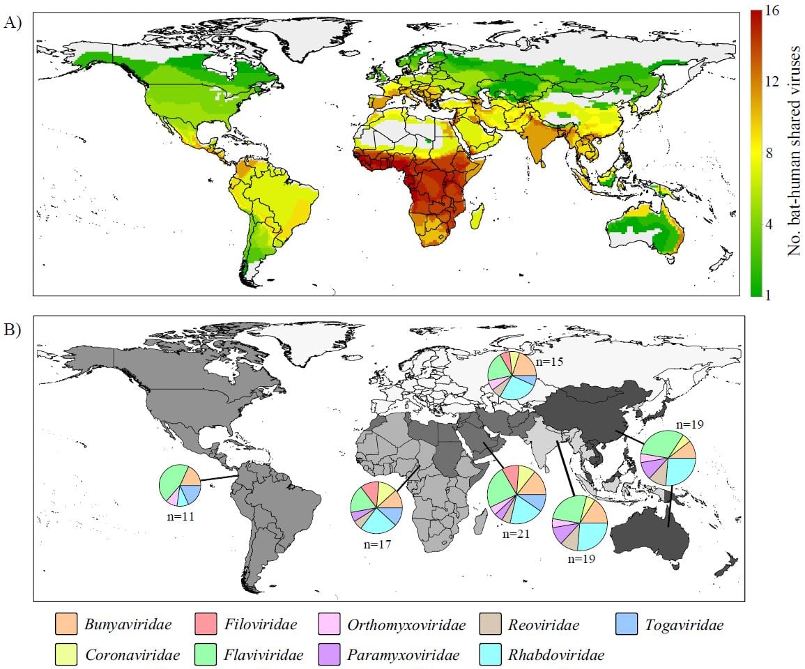 Distributions of bat-human virus sharing showing A) numbers of bat-human shared viruses and B) composition of viruses by family within the six WHO World Regions where size of charts is proportional to number of viruses. Shading denotes region (from lightest to darkest: Europe, South Asia, Africa, Americas, Eastern Mediterranean, Western Pacific) while colours denote viral family - Courtesy of Liam Brierley