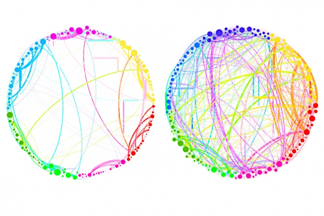 This diagram demonstrates the simplified results that can be obtained by using quantum analysis on enormous, complex sets of data. Shown here are the connections between different regions of the brain in a control subject (left) and a subject under the influence of the psychedelic compound psilocybin (right). This demonstrates a dramatic increase in connectivity, which explains some of the drug’s effects (such as “hearing” colors or “seeing” smells). Such an analysis, involving billions of brain cells, would be too complex for conventional techniques, but could be handled easily by the new quantum approach, the researchers say. - Image Credit: Courtesy of the researchers