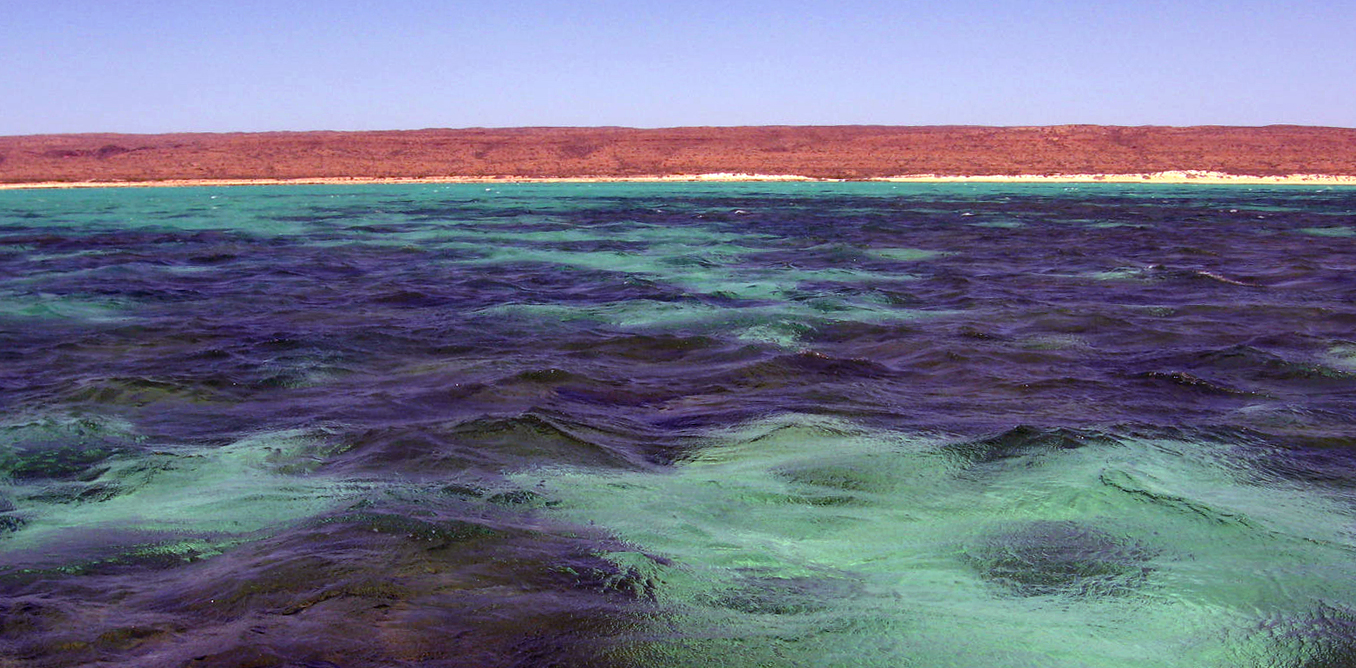 Teh land may be dry, but Western Australia's waters are full of life - Image Credit Russ Babcock, Author provided