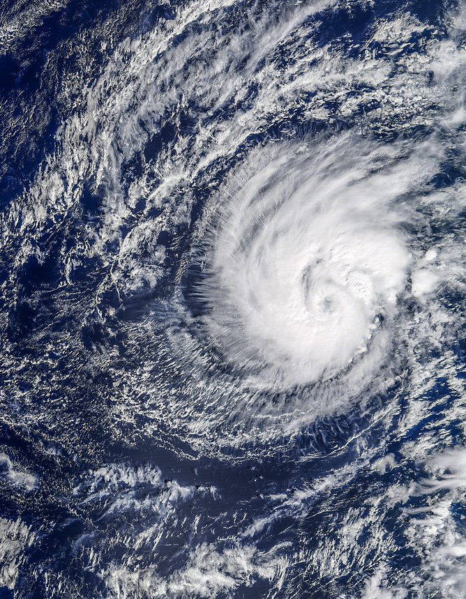 Hurricane Pali churns over the eastern Pacific on January 11 - Image Credit: NASA Earth Observatory