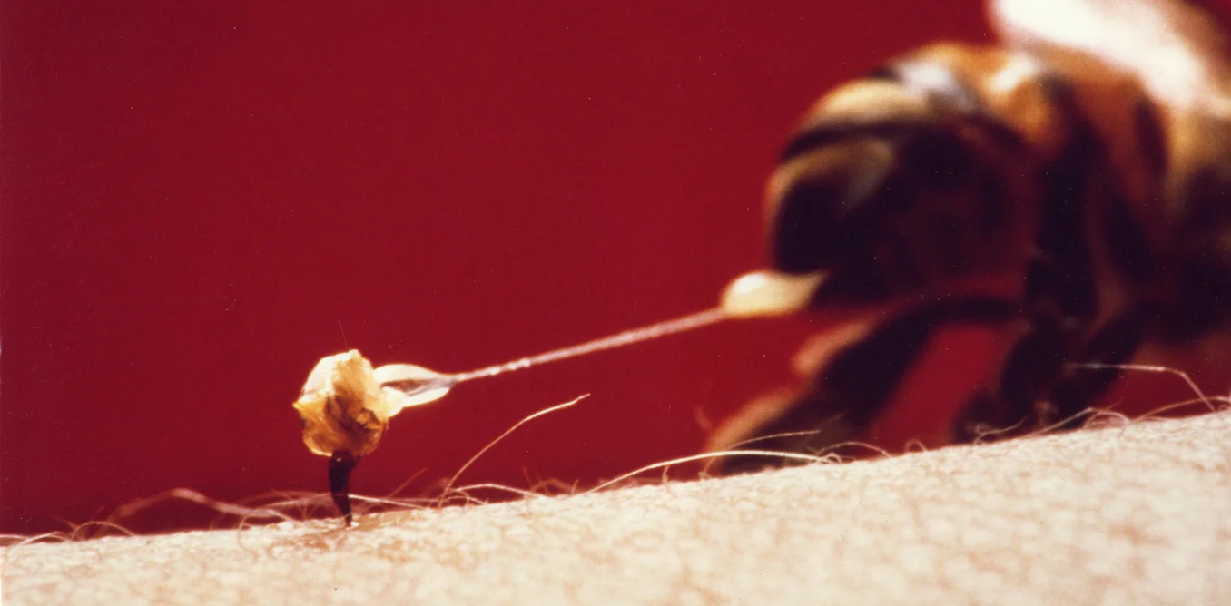 Justin Schmidt - Suffering for science: why I have insects sting me to create a pain index