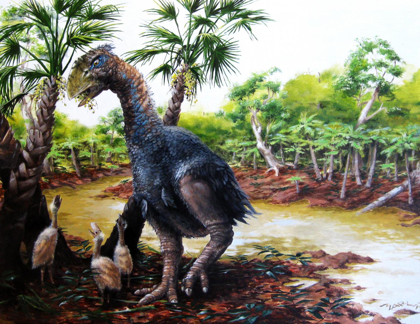 A new study involving CU-Boulder and the Chinese Academy of Sciences has confirmed that a flightless bird weighing several hundred pounds roamed Ellesmere Island in the high Arctic about 50 million years ago. - Illustration by Marlin Peterson