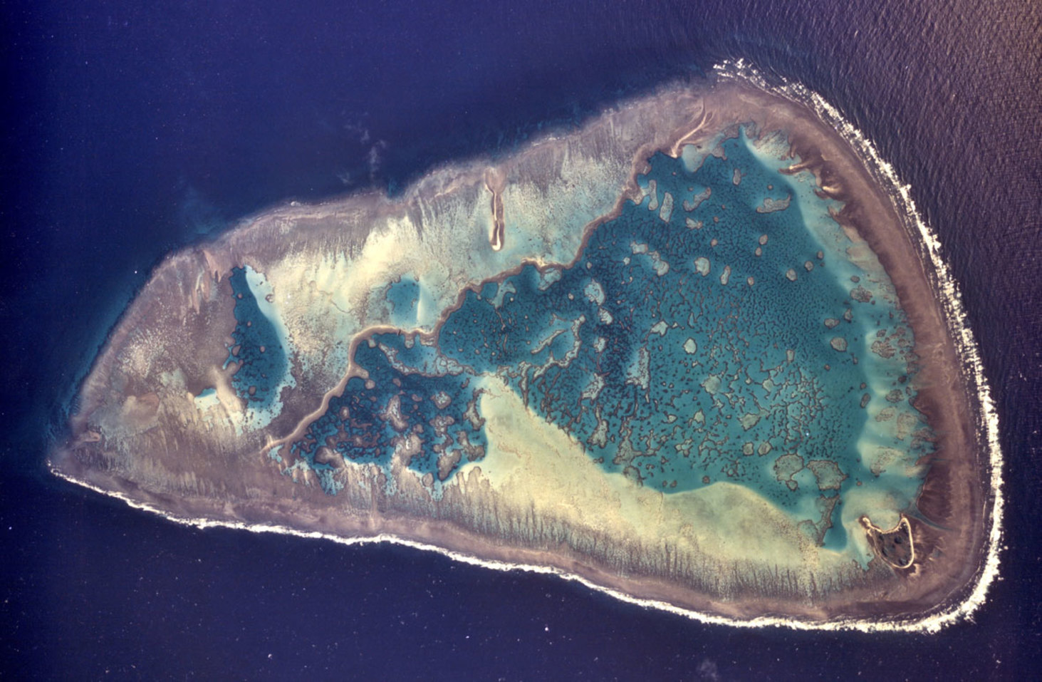One Tree Island forms a naturally isolated lagoon where pH levels can be manipulated. - Image Credit: One Tree Island Research Station/University of Sydney/Nature