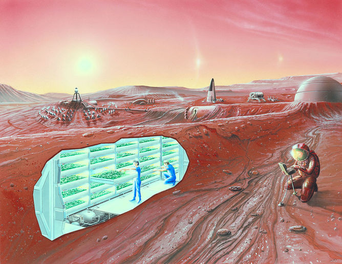 Hydroponics. - Image Credit: NASA