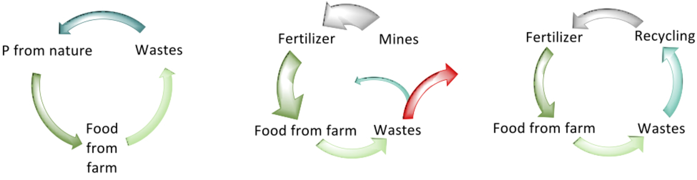 Original phosphorus cycle (left); the broken cycle (centre); and an optimised cycle (right). Author provided