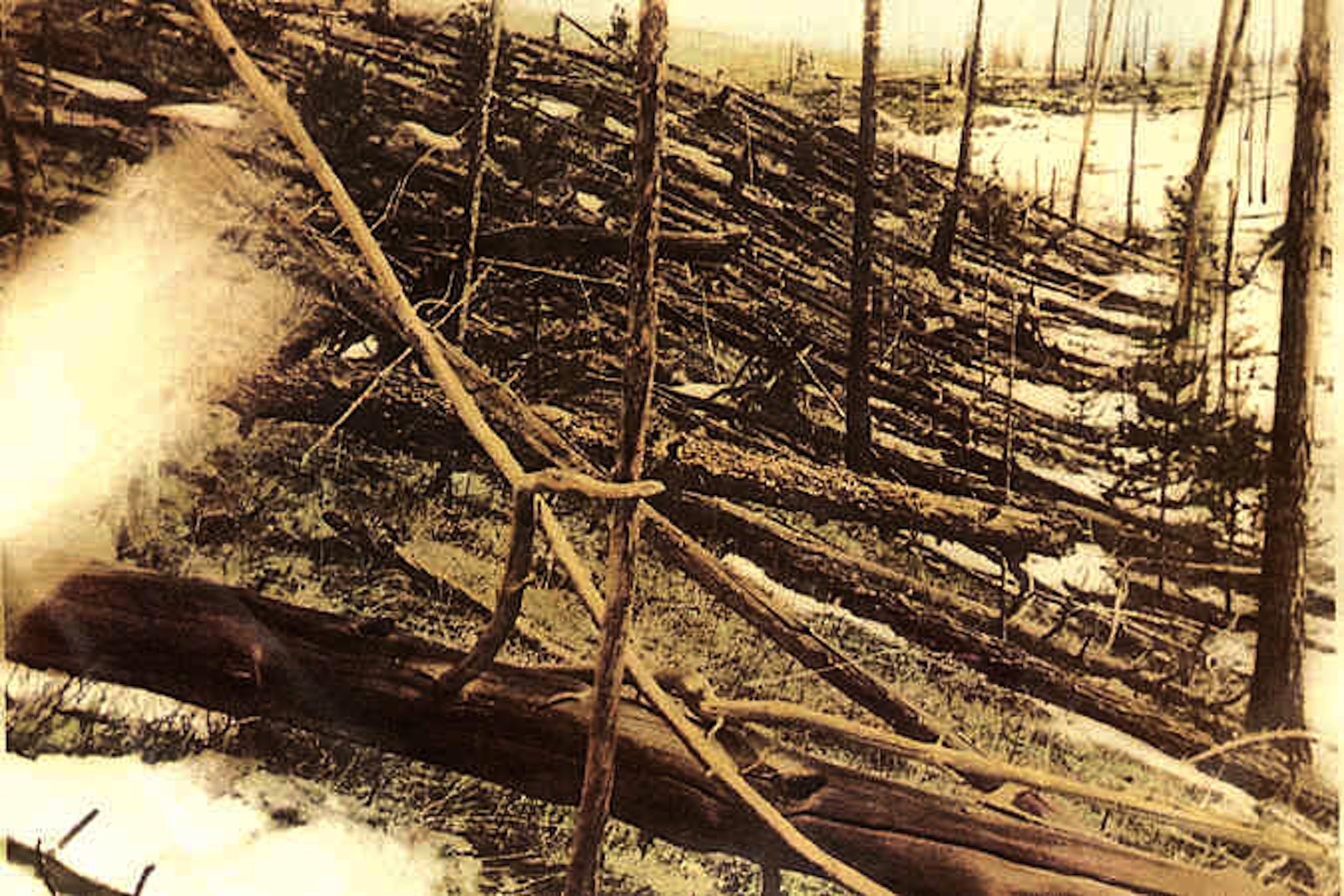 Trees knocked over by the Tunguska blast. - Image Credit: Leonid Kulik/wikimedia