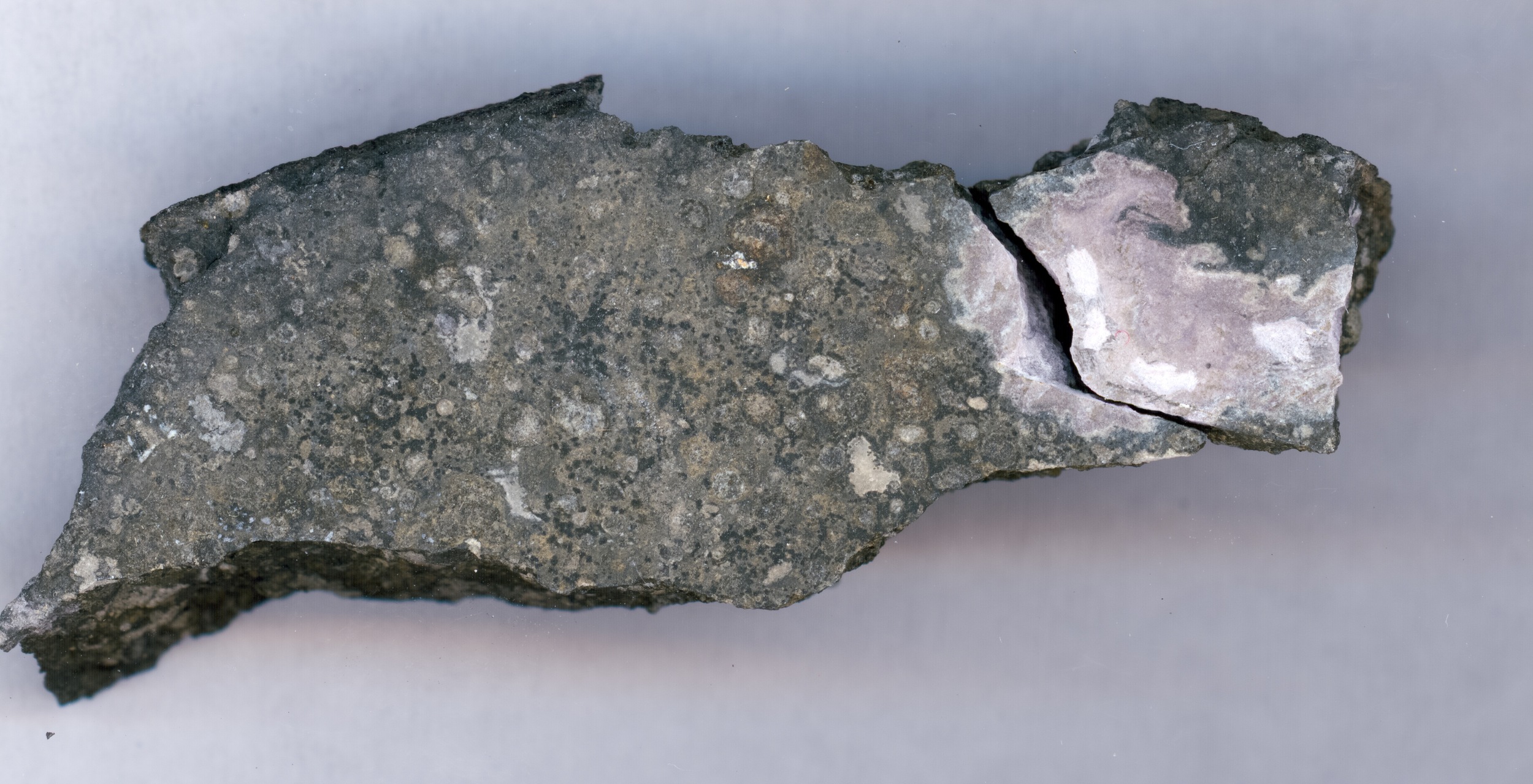 This close-up picture shows a ceramic-like refractory inclusion (pink inclusion) still embedded into the meteorite in which it was found. Refractory inclusions are the oldest-known rocks in the solar system (4.5 billion years old). Analysis of the uranium isotope ratios of such inclusions demonstrates that a long-lived isotope of the radioactive element curium was present in the solar system when this inclusion was formed. The inclusion measures 1.5 centimers (.59 inches) in length. - Image Credit: Origins Lab, University of Chicago
