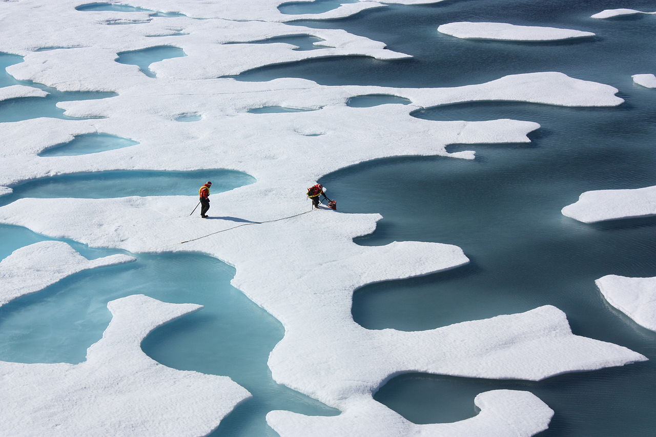 Parts of the Arctic were 16 ℃ warmer than normal in February - Image Credit: PDTTillman/Wikimedia