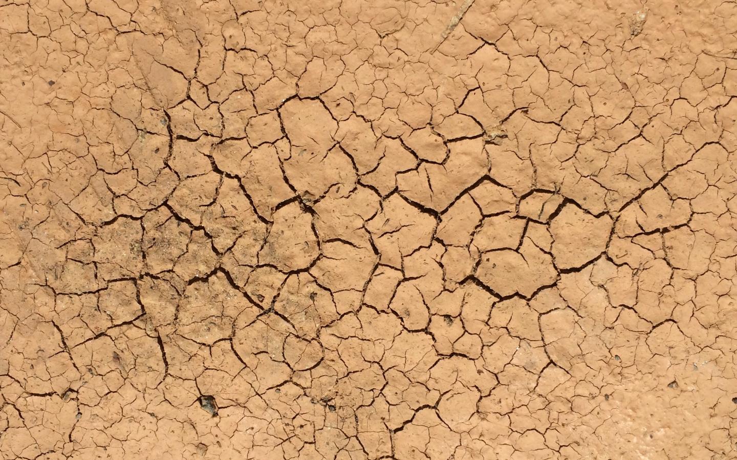 As a volume of mud dries, its internal tension grows until it suddenly cracks hierarchically, meaning with a few large cracks along with many small ones. A similar process is responsible for the wide variety of sizes that celestial bodies come in, according to a Duke professor. – Image Credit: Adrian Bejan, Duke University