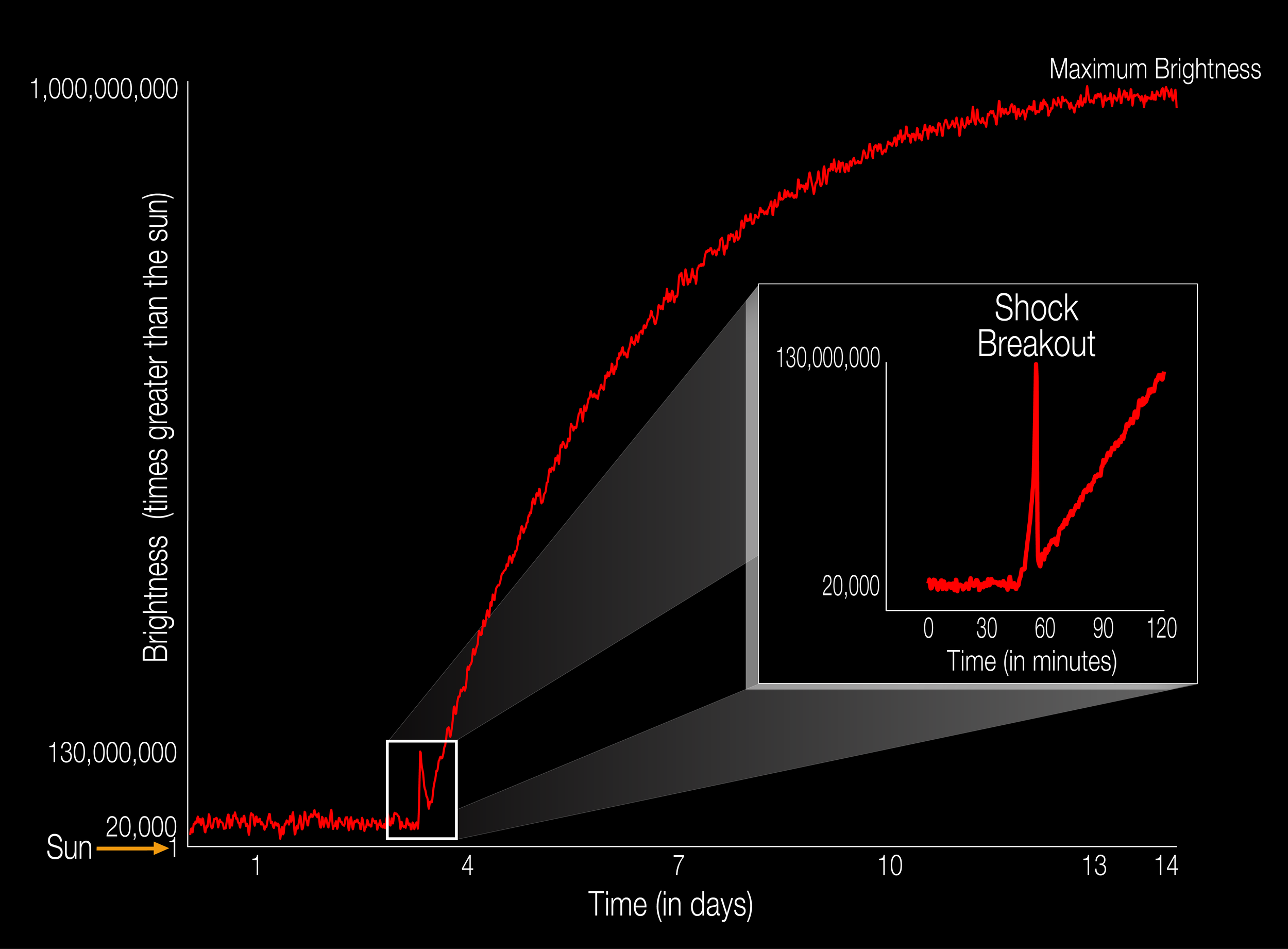 The diagram illustrates the brightness of a supernova event relative to the sun as it unfolds. For the first time, a supernova shockwave has been observed in the optical wavelength or visible light as it reaches the surface of the star. This early flash of light is called a shock breakout. The explosive death of this star, called KSN 2011d, as it reaches its maximum brightness takes 14 days. The shock breakout itself lasts only about 20 minutes, so catching the flash of energy is an investigative milestone for astronomers. The unceasing gaze of NASA's Kepler space telescope allowed astronomers to see, at last, this early moment as the star blows itself to bits. Supernovae like these — known as Type II — begin when the internal furnace of a star runs out of nuclear fuel causing its core to collapse as gravity takes over. This type of star is called a red supergiant star and it is 20,000 times brighter than our sun. As the supergiant star goes supernova, the energy traveling from the core reaches the surfaces with a burst of light that is 130,000,000 times brighter than the sun. The star continues to explode and grow reaching maximum brightness that is about 1,000,000,000 times brighter than the sun. - Image Credits: NASA Ames/W. Stenzel