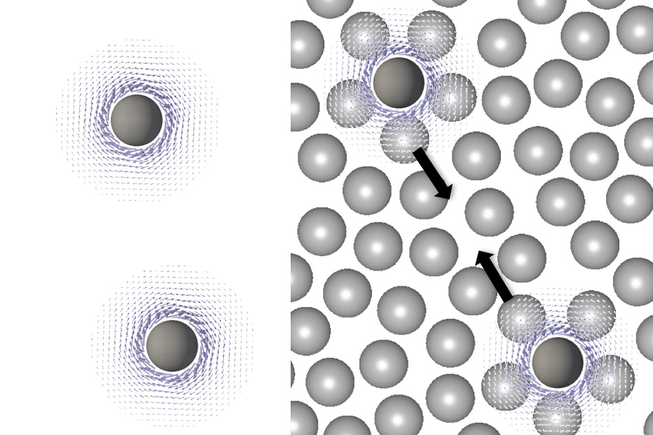 Researchers have found a new kind of long-range interaction between particles, in a liquid medium, that is based entirely on their motion. Alfredo Alexander-Katz describes the kind of interactions his team found as being related to the research field of active matter. Example of active systems are the flocking behavior of birds or the schooling of fish. In this illustration, moving particles in a liquid medium (left) are not attracted, but when they are surrounding by non-moving particles (right) they are gradually pulled together. - Courtesy of the researchers