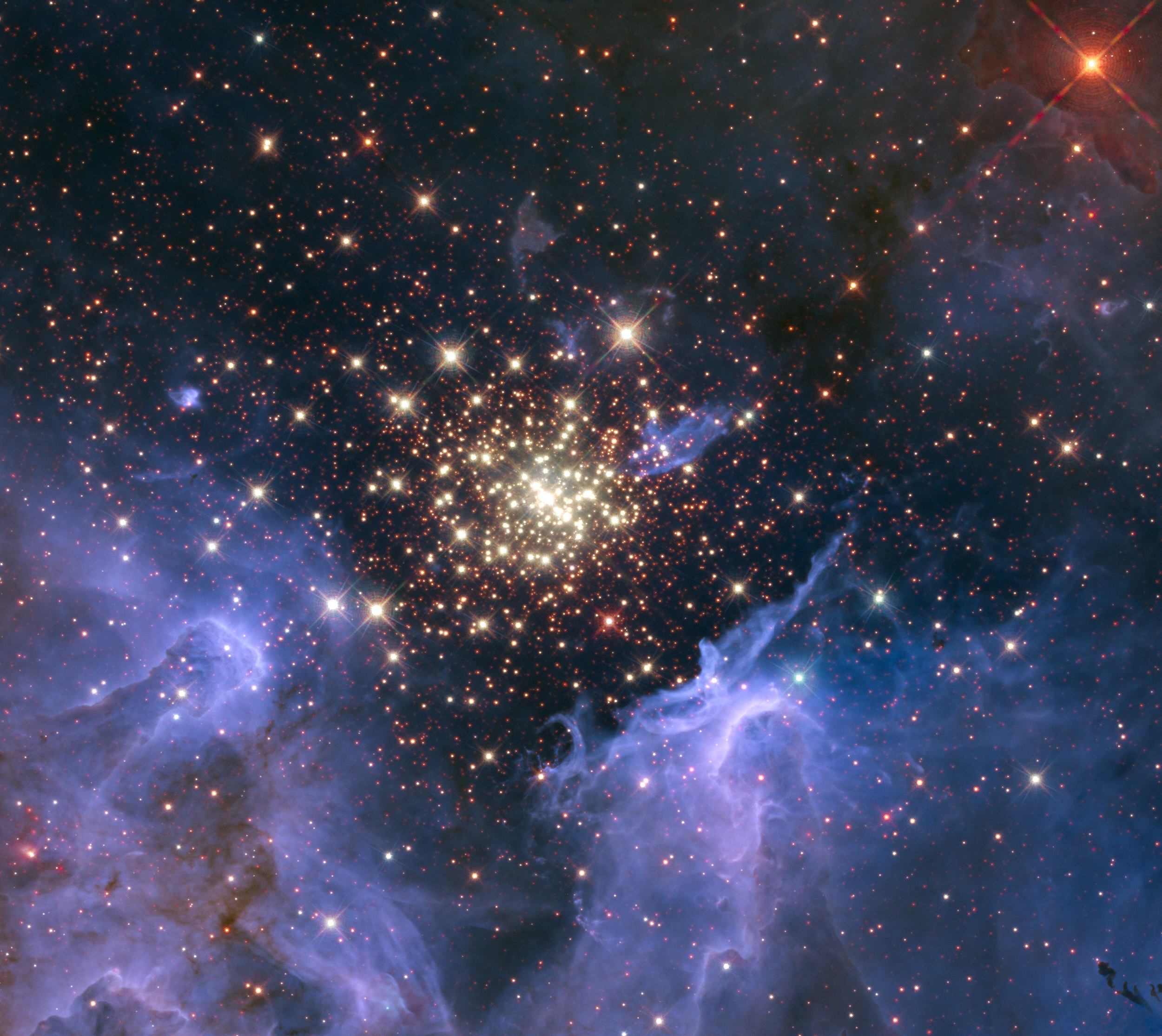 A cluster of massive stars seen with the Hubble Space Telescope. The cluster, called NGC 3603, is surrounded by clouds of interstellar gas and dust, the raw material for more stars. – Image Credit: NASA/U. Virginia/INAF, Bologna, Italy/USRA/Ames/STScI/AURA