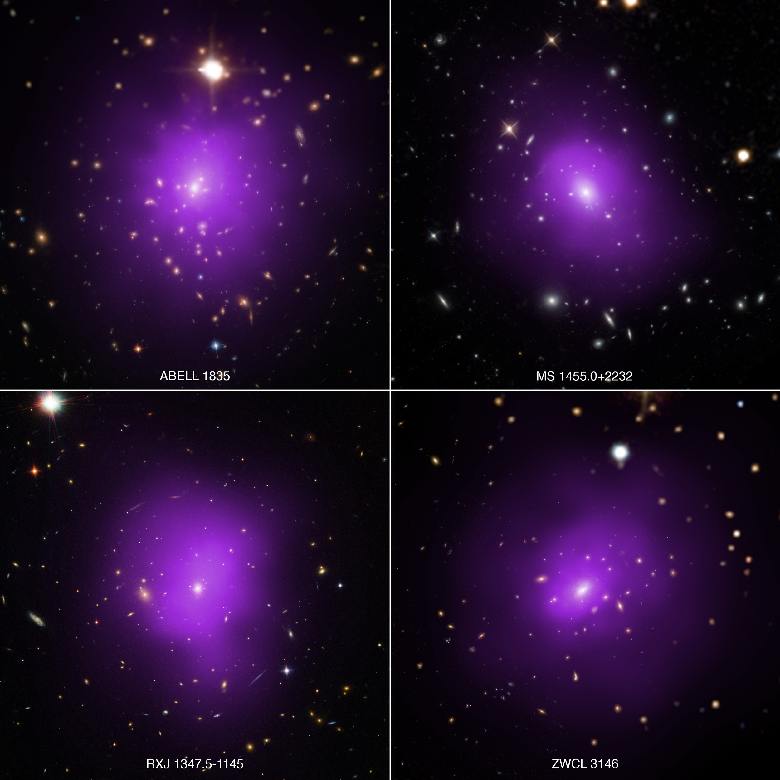 These four galaxy clusters were part of a large survey of over 300 clusters used to investigate dark energy, the mysterious energy that is currently driving the accelerating expansion of the Universe. In these composite images, X-rays from NASA’s Chandra X-ray Observatory (purple) have been combined with optical light from the Hubble Space Telescope and Sloan Digital Sky Survey (red, green, and blue) - Image Credits: X-ray: NASA/CXC/Univ. of Alabama/A. Morandi et al; Optical: SDSS, NASA/STScI