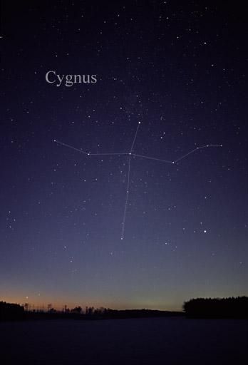Cygnus. – Image Credit: Till Credner/wikimedia