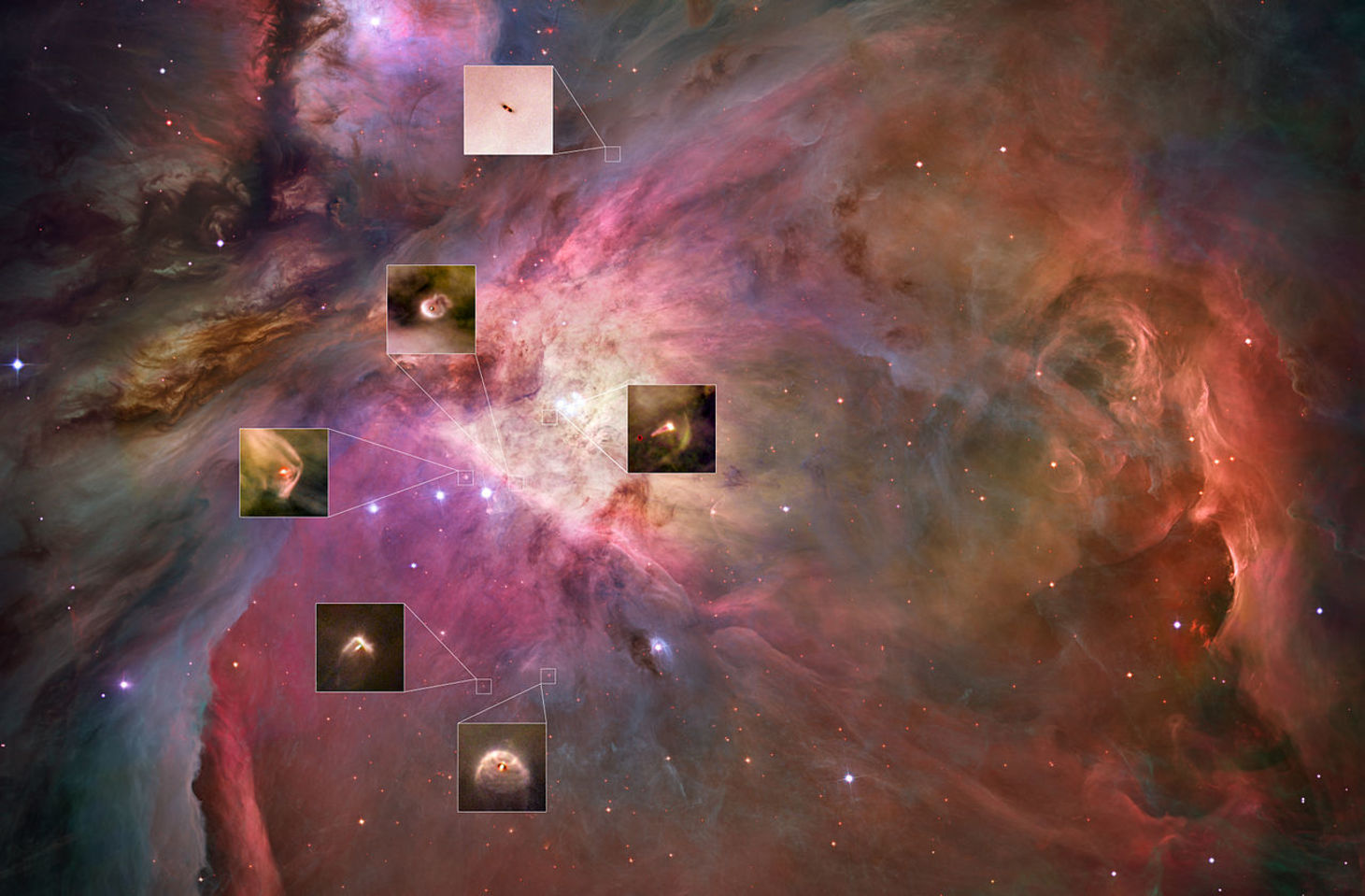 Within each of these circumstellar disks, seen against the backdrop of the Orion nebula, planets are being born. - Image Credit: NASA, ESA, M. Robberto (STSI/ESA), the HST Orion Treasury Project Team and L. Ricci (ESO)