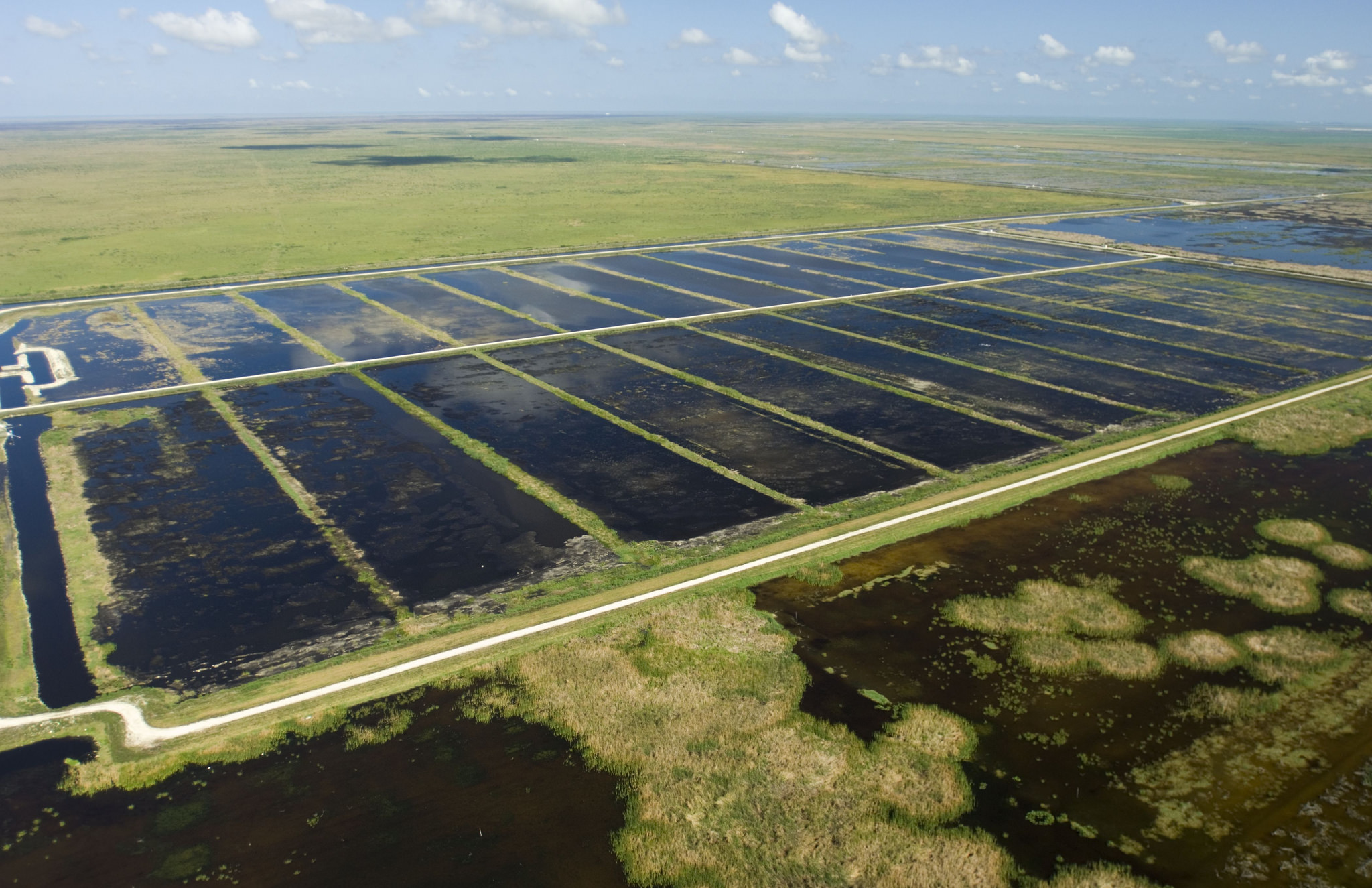 Stormwater treatment ponds, used to remove excess phosphorus before discharging water into the Everglades. – Image Credit: South Florida Water Management District/Flickr