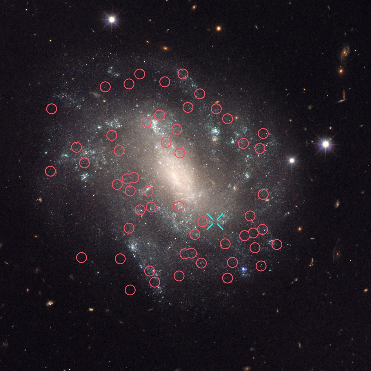 This image taken with the NASA/ESA Hubble Space Telescope shows one of the galaxies in the survey to refine the measurement for how fast the Universe expands with time, called the Hubble constant. The galaxy, UGC 9391, contains two types of stars that astronomers use to calculate accurate distances to galaxies, a key measurement in determining the Hubble constant: Cepheid variables (marked with red circles) which pulsate at rates that correspond to their true brightness; and a Type Ia supernova (the blue cross indicates the position of the supernova 2003du). These supernovae are another commonly used cosmic yardstick. They flare with the same brightness and are brilliant enough to be seen from relatively longer distances. Astronomers calibrate the supernovae with the Cepheids in galaxies such as UGC 9391 so that they can accurately calculate the distances to faraway exploding stars. UGC 9391 itself resides about 130 million light-years from Earth. - Image Credit : NASA , ESA , and A. Riess ( STScI /JHU)