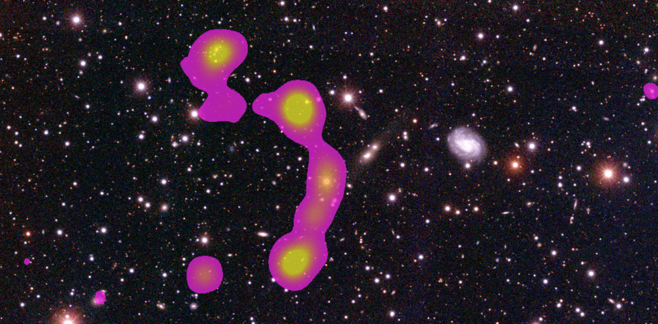 The new discovery: The C-shaped “wide angle tail galaxy” (pink) surrounded by the galaxies of the Matorny-Terentev cluster (white). Julie Banfield, Author provided
