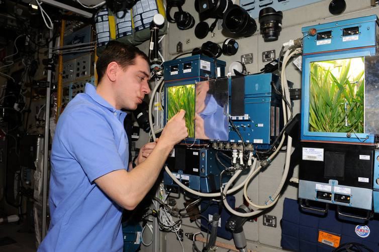 Learning to grow. – Image Credit: NASA
