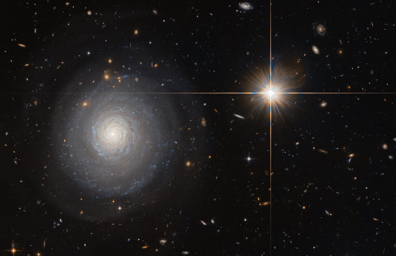Image Credit: ESA/Hubble/NASA and N. Grogin (STScl)