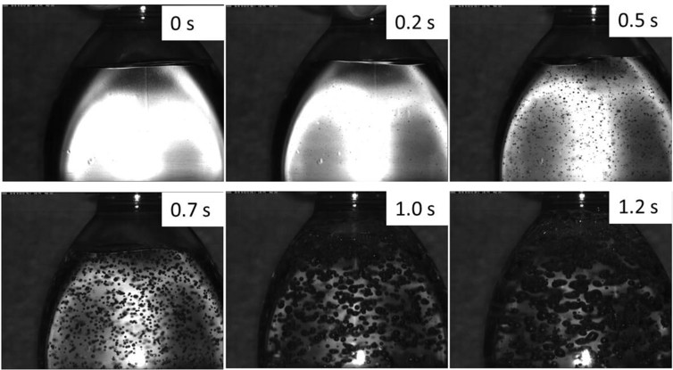 Figure 1: the bubble formation upon opening a bottle of sparkling water. Images captured specifically for this article - Author provided