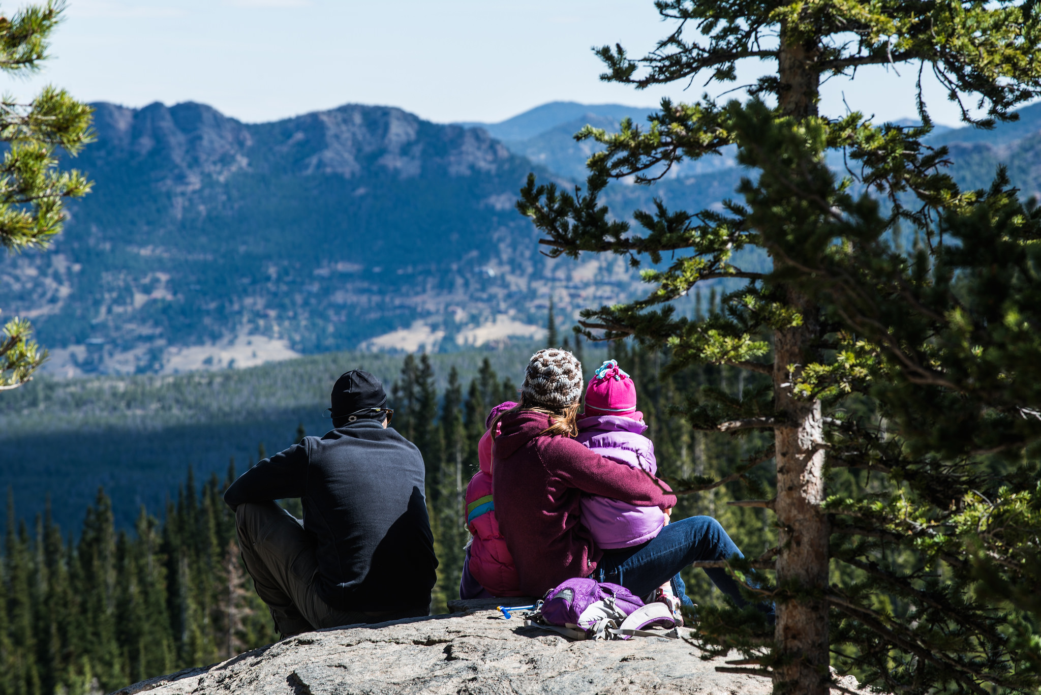 Higher carbon dioxide levels will not result in faster-growing forests – just the opposite in many places, study finds. - Image Credit: rosskevin756/flickr