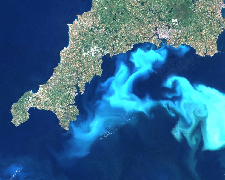 The white clouds in the water are actually light reflected from billions of coccoliths. - Image Credit: Wikimedia